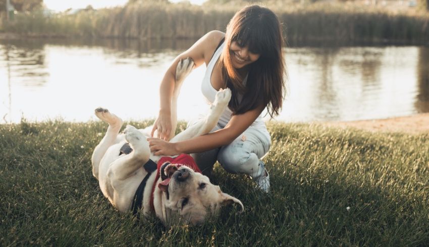 A woman petting a dog in the grass.