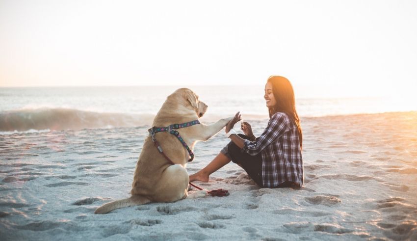 A woman sitting on the beach with her dog.