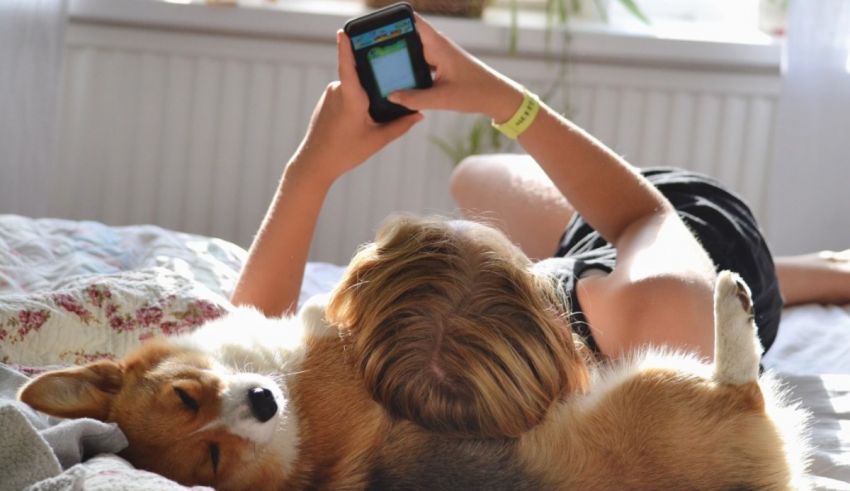 A girl laying on a bed with a corgi on her lap.