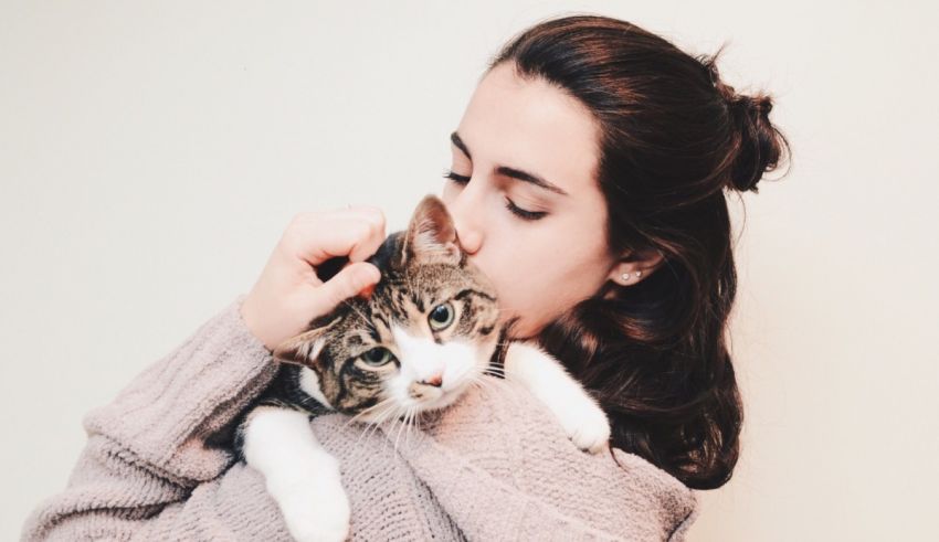 A woman is holding a cat in her arms.