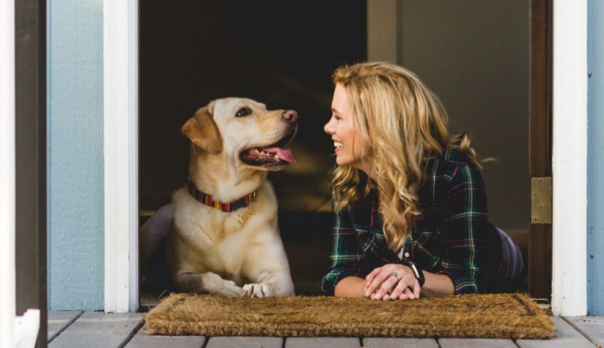 A woman sits on the floor of a house with her dog.