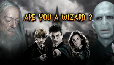 Are You a Wizard