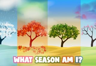 What Season Am I