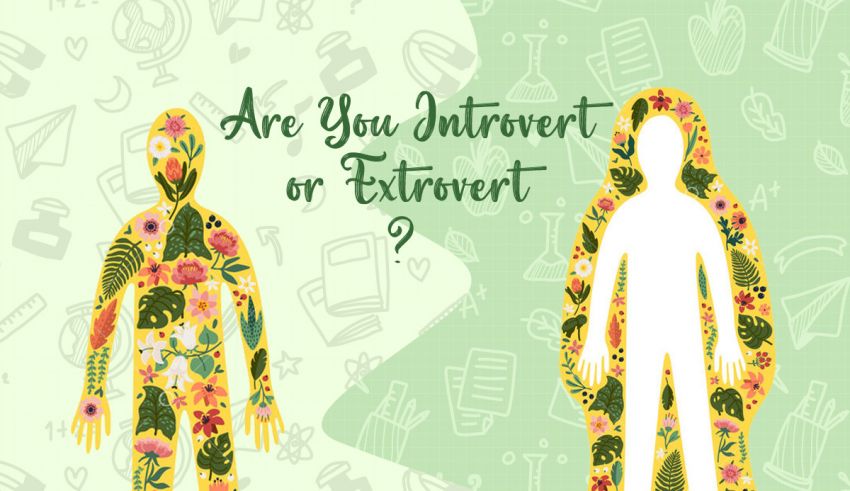 Quiz Are You and Introvert or Extrovert? 100 Accurate Result