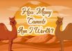 How Many Camels Am I Worth