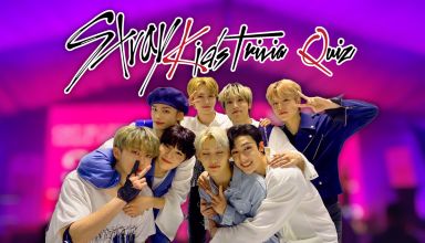 Stray Kids Quiz