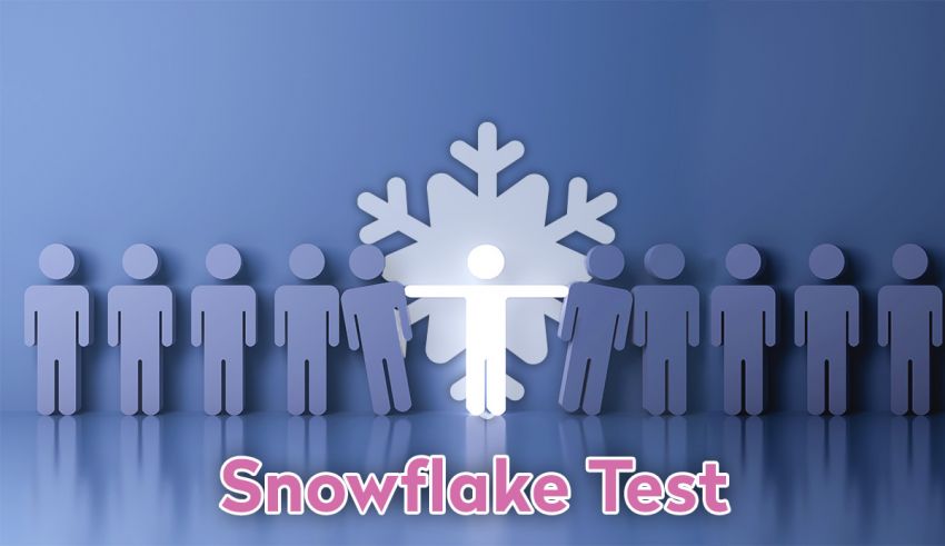 Pest krøllet Pointer Snowflake Test. 2023 Free & Honest Quiz