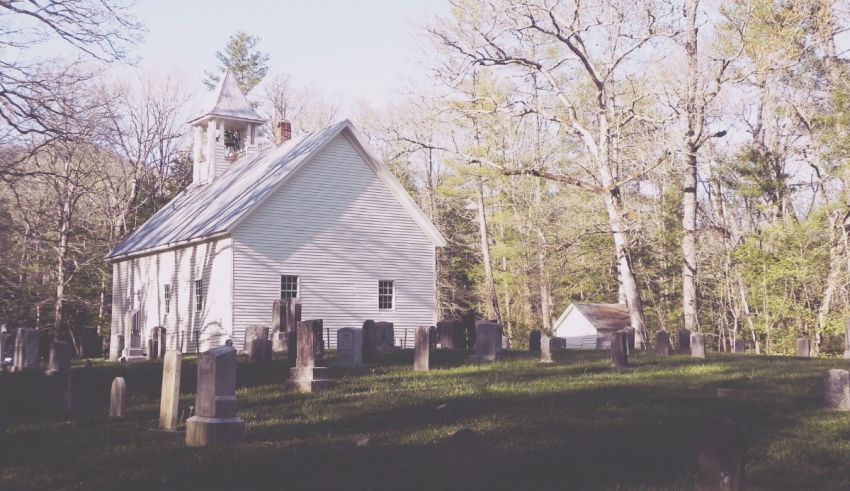 A small white church in the middle of a wooded area.