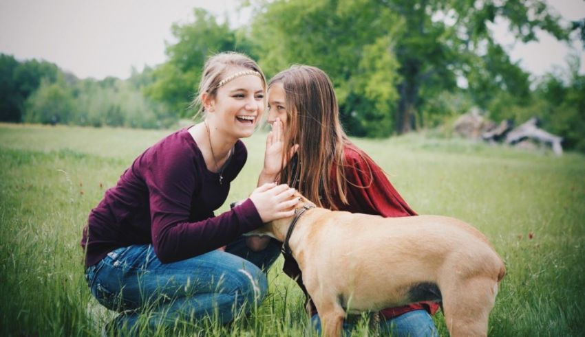 Two girls petting a dog in a field.