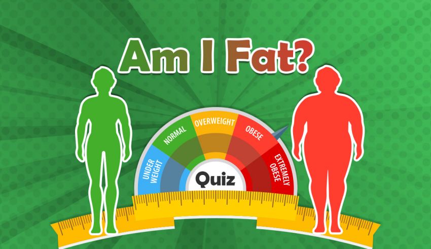 Am I Fat quiz