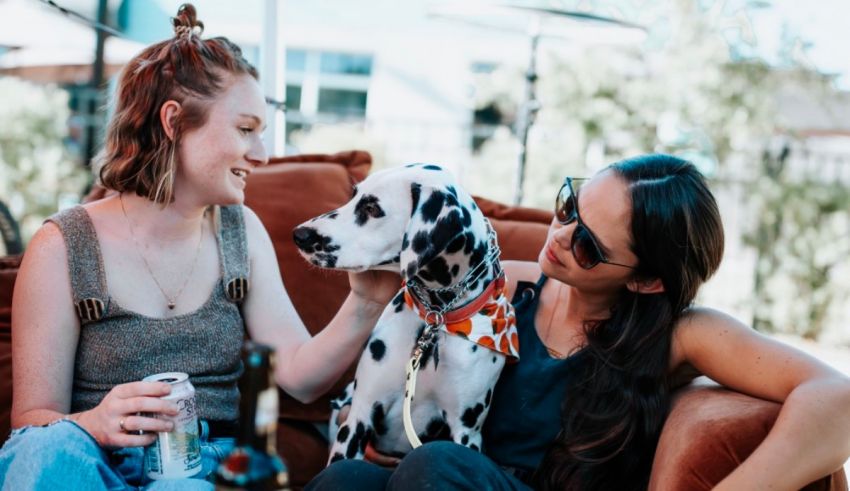 Two women sitting on a couch with a dalmatian dog.