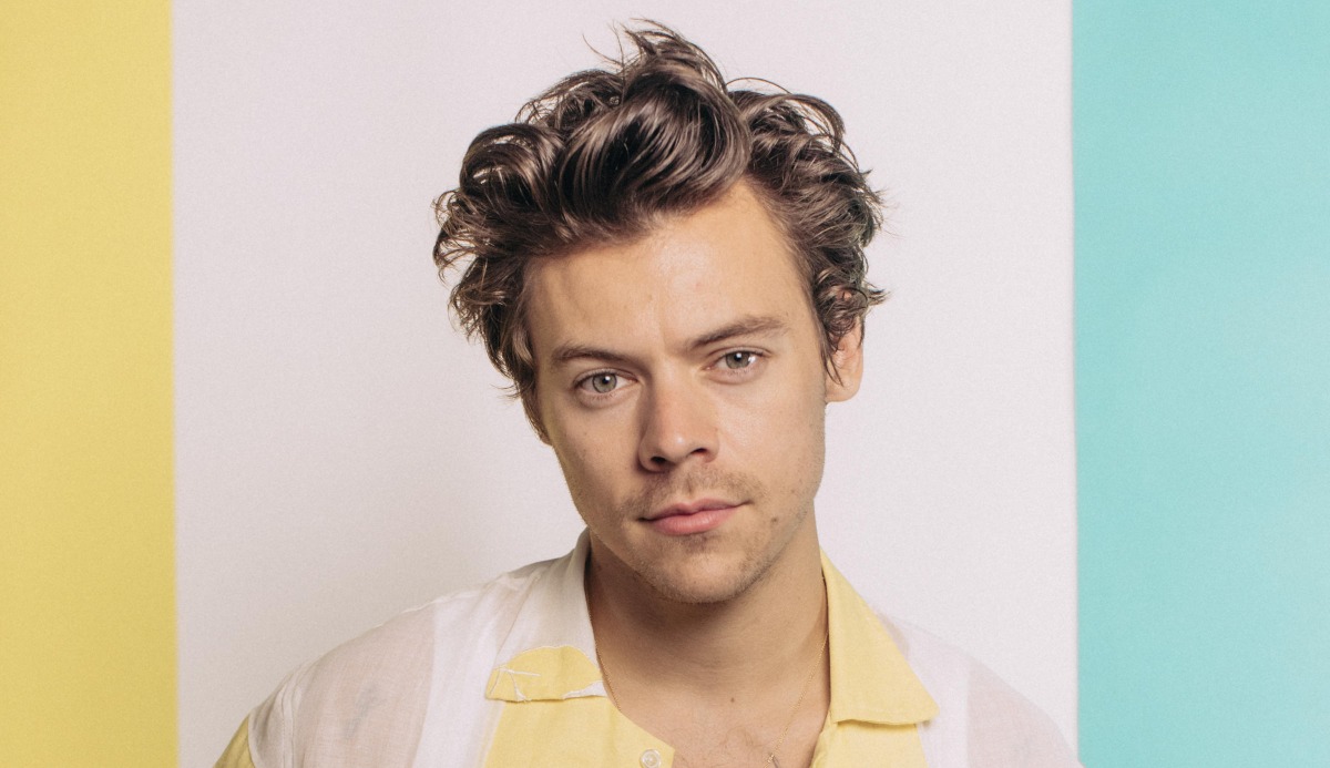 Quiz: Which Harry Styles Song Are You? 100% Accurate Match 1