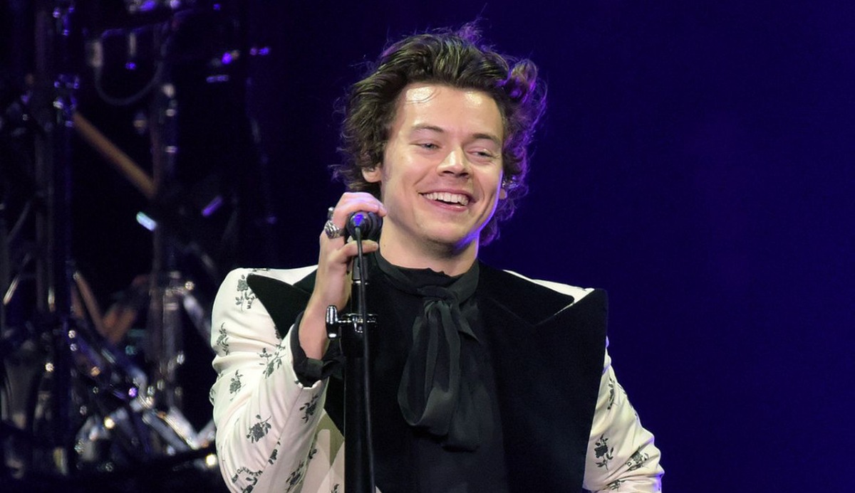 Quiz: Which Harry Styles Song Are You? 100% Accurate Match 19