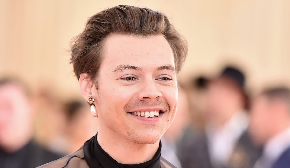 Quiz: Which Harry Styles Song Are You? 100% Accurate Match 6