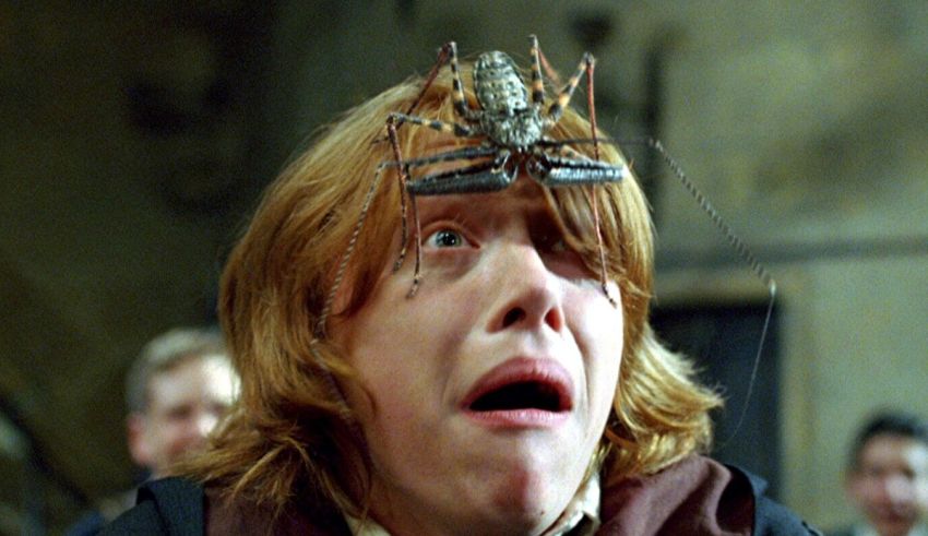 Harry potter and the goblet of fire harry potter and the goblet of fire harry potter and.
