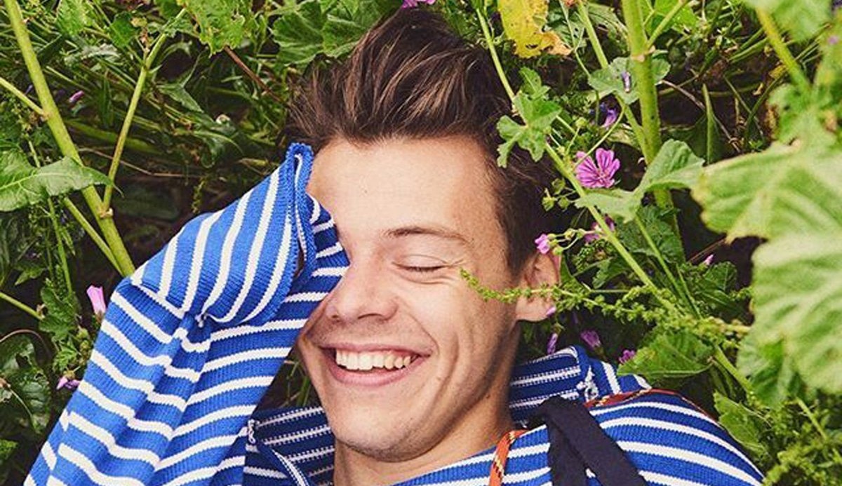 Quiz: Which Harry Styles Song Are You? 100% Accurate Match 12