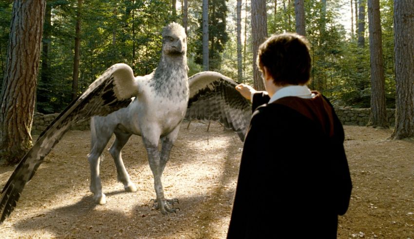 Harry potter and the goblet of fire harry potter and the goblet of fire harry potter and.