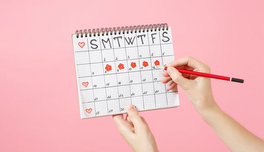 True Love Test Meter Quiz! Let's Test Yourself - ProProfs Quiz