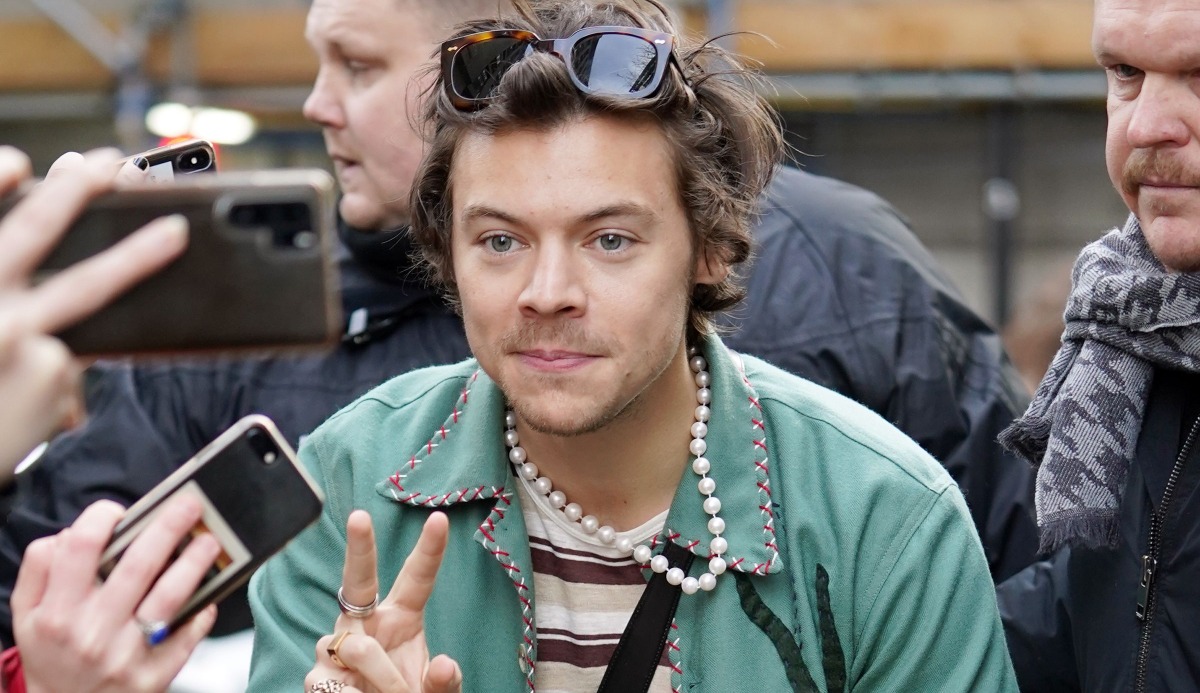 Quiz: Which Harry Styles Song Are You? 100% Accurate Match 15