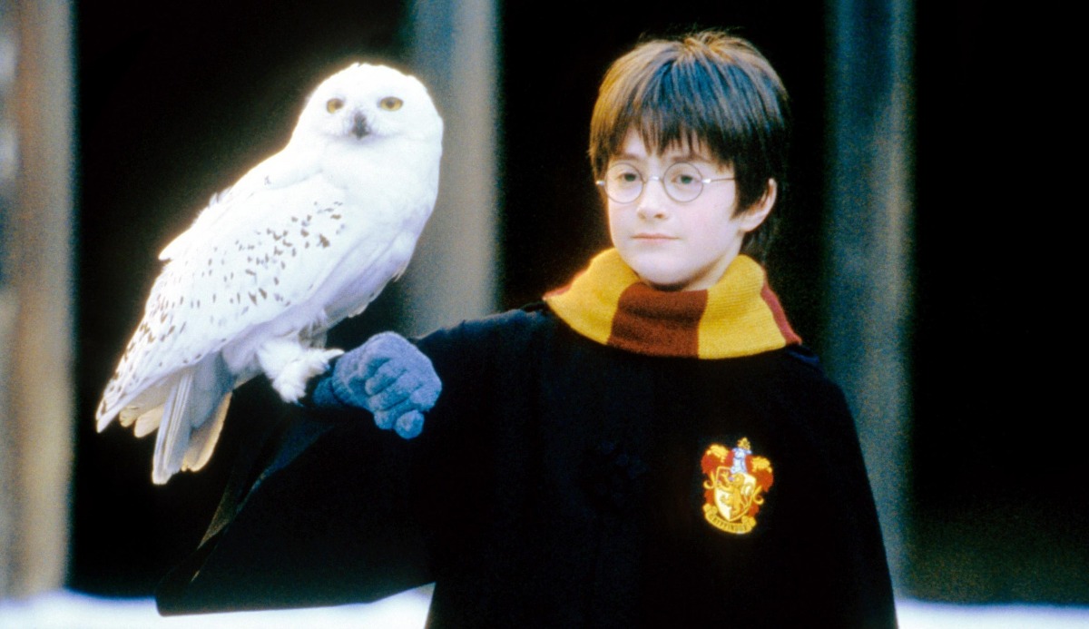 What Is My Animagus? This Quiz Has a 100% Accurate Answer 12