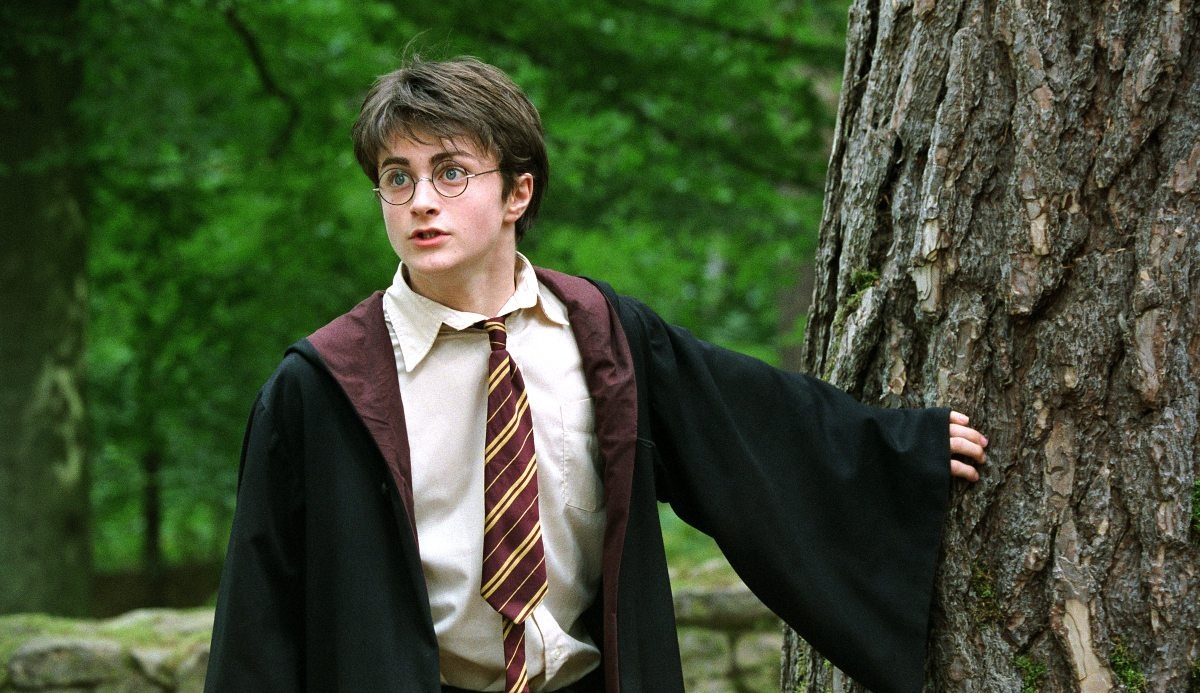 What Is My Animagus? This Quiz Has a 100% Accurate Answer 14
