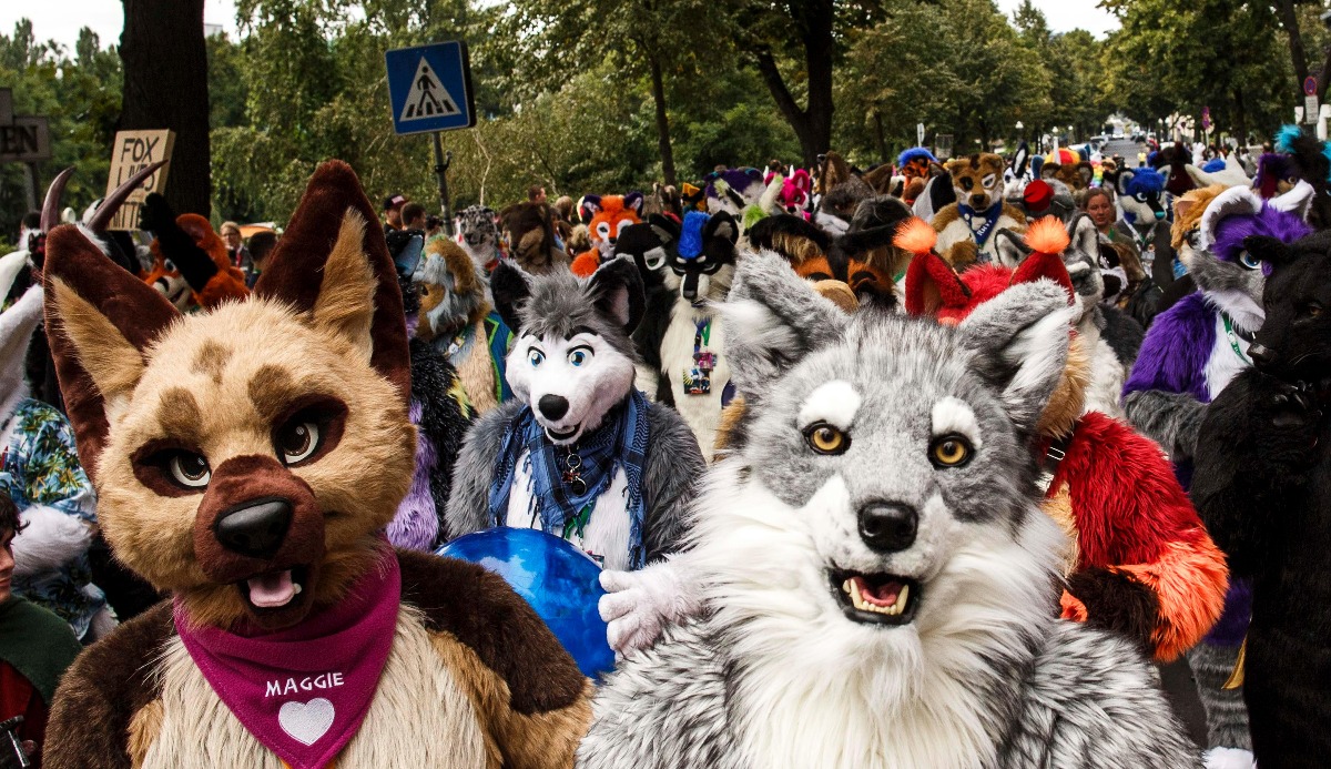 Quiz: Am I a Furry? 100% Fun and Accurate Results 7