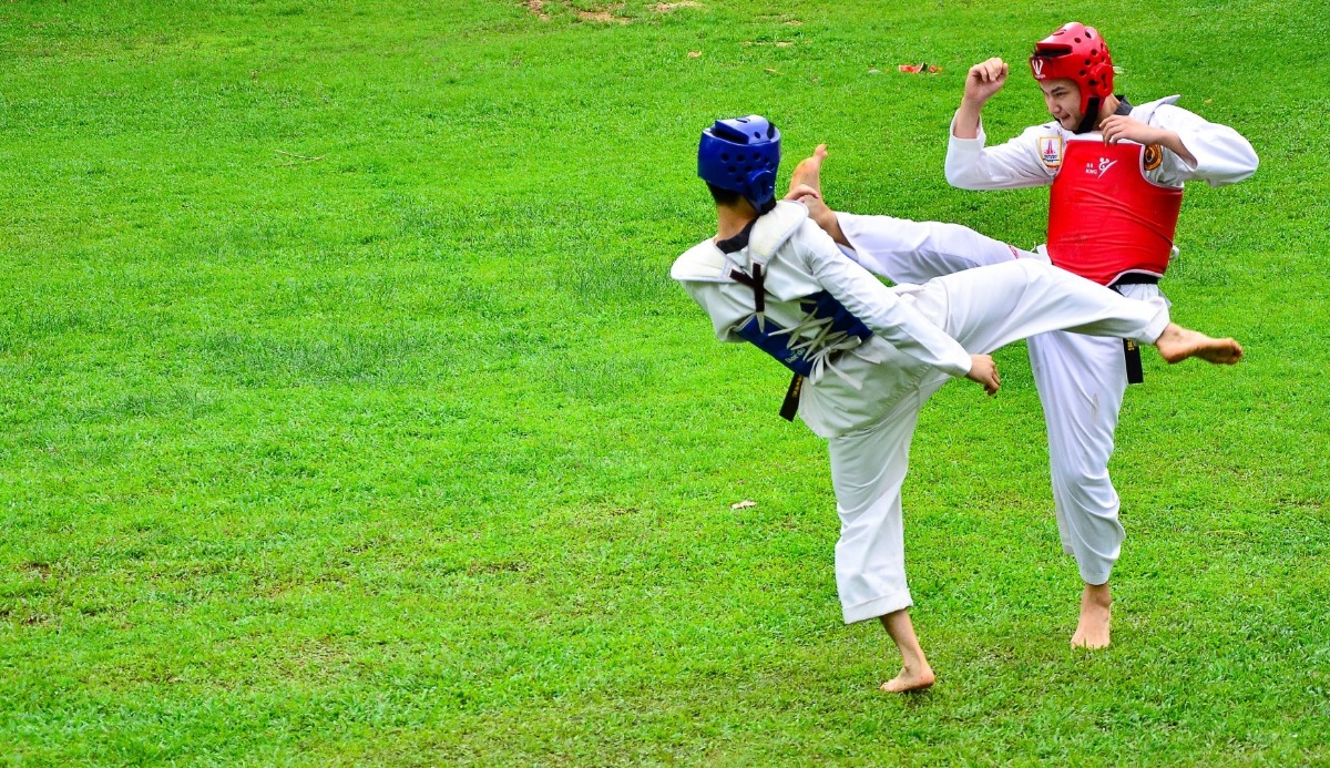 What Martial Art Should I Learn? Based on Your 20 Skills 9