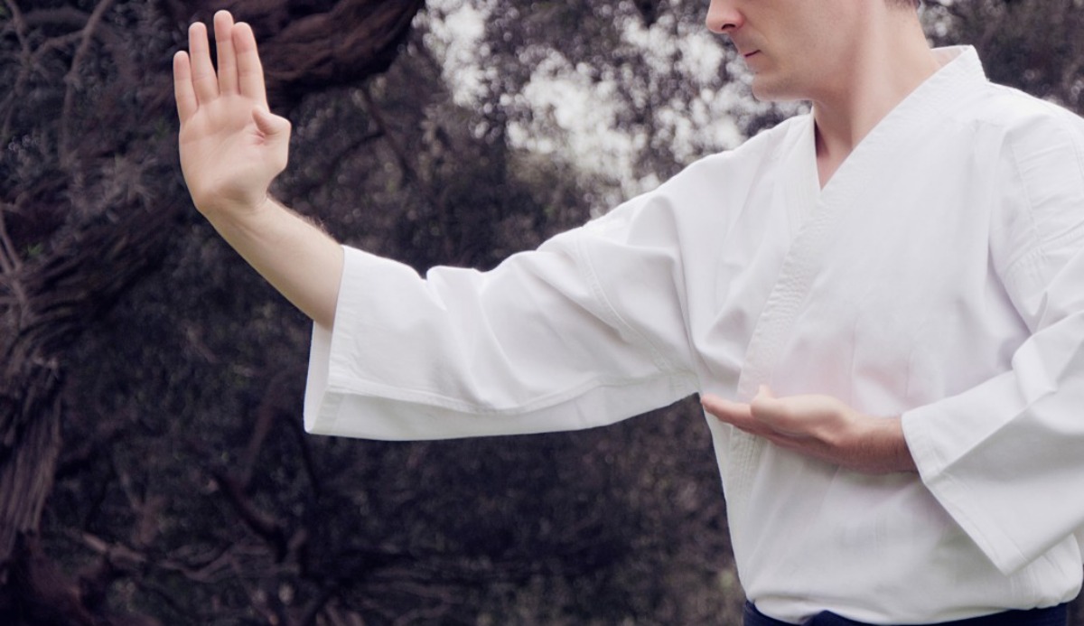 What Martial Art Should I Learn? Based on Your 20 Skills 1