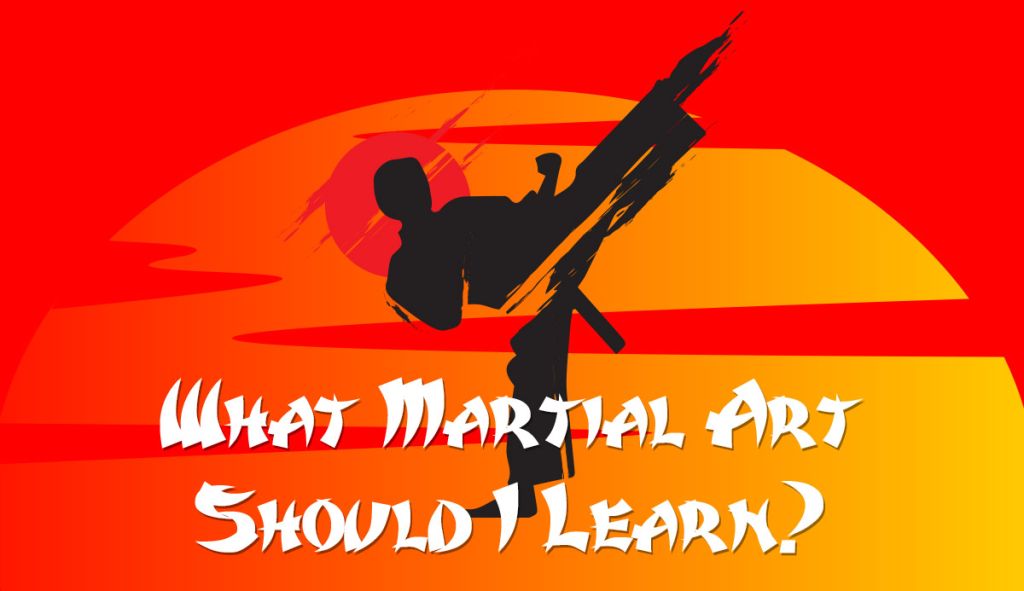 What Martial Art Should I Learn