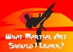 What Martial Art Should I Learn