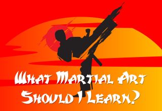 What Martial Art Should I Learn