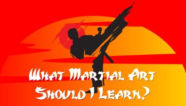 What Martial Art Should I Learn