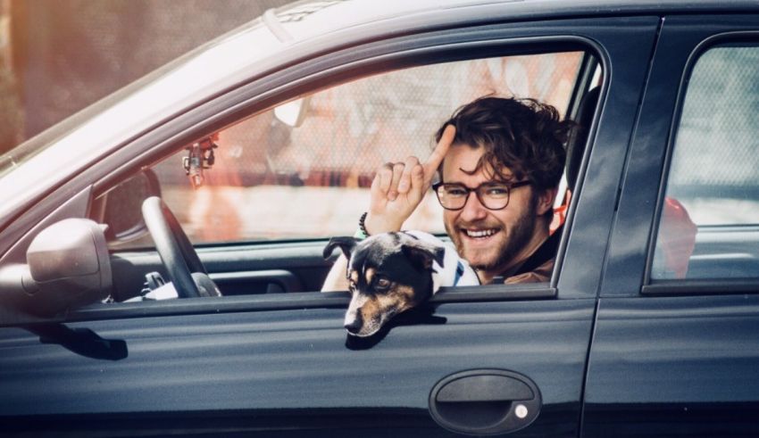 A man is driving his car with a dog in the back seat.