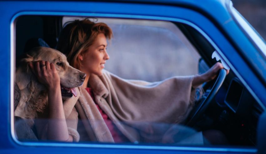 A woman is driving a car with her dog in the back seat.