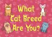 What Cat Breed Are You