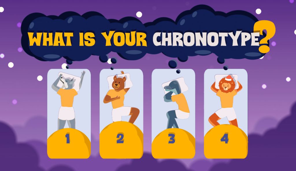 What Is Your Chronotype