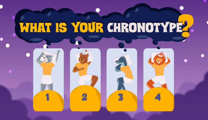 What Is Your Chronotype