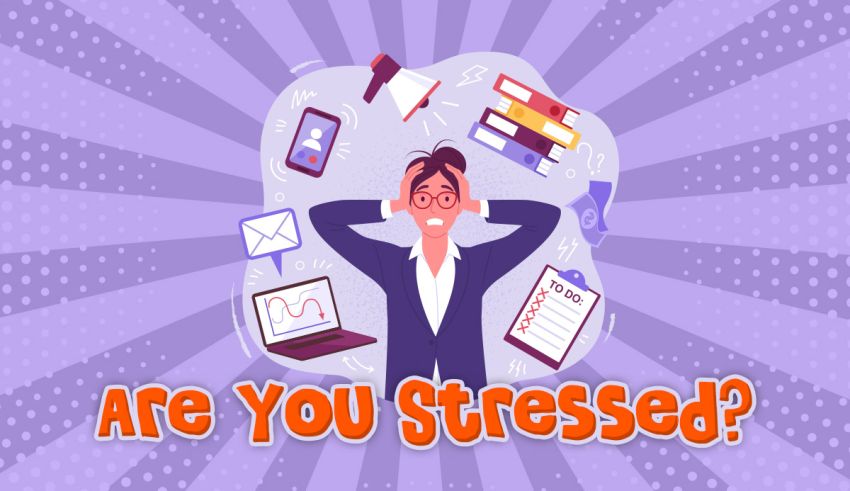 Stress Quiz