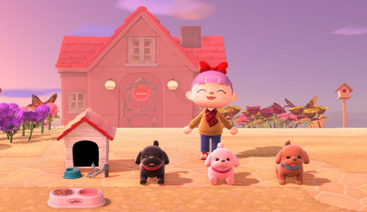 Which Animal Crossing Character Are You? 2023 New Horizon 16