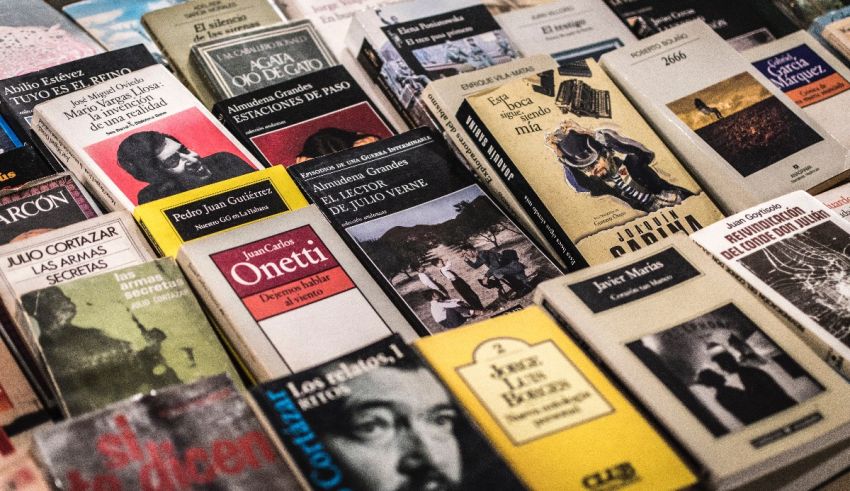 A collection of books on display at a bookstore.