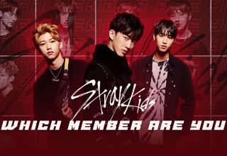 Which Stray Kids Member Are You