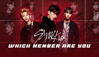 Which Stray Kids Member Are You