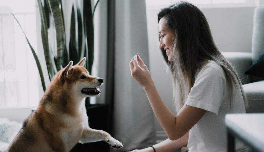 A woman is petting her dog on the floor.
