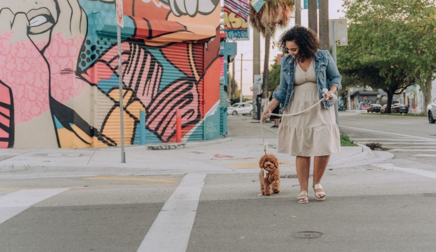 A woman walking her dog in front of a colorful wall.