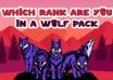 Which Rank Are You In a Wolf Pack