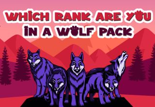 Which Rank Are You In a Wolf Pack