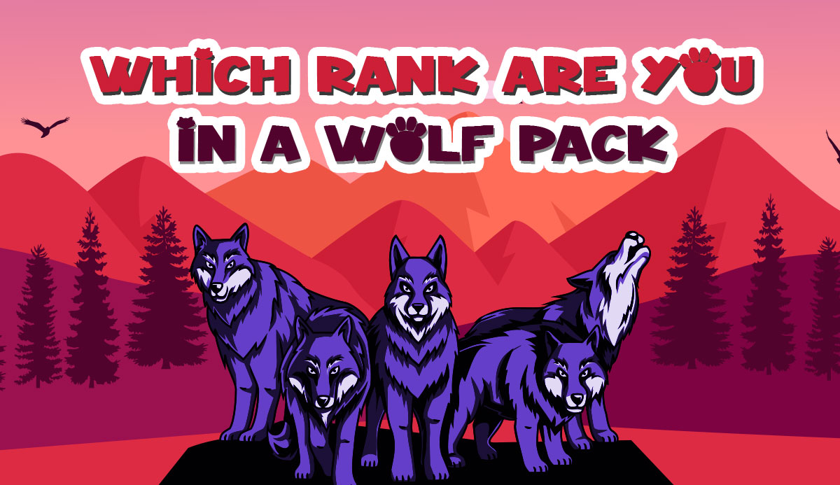 Quiz: Which Rank Are You In a Wolf Pack? 100% Accurate