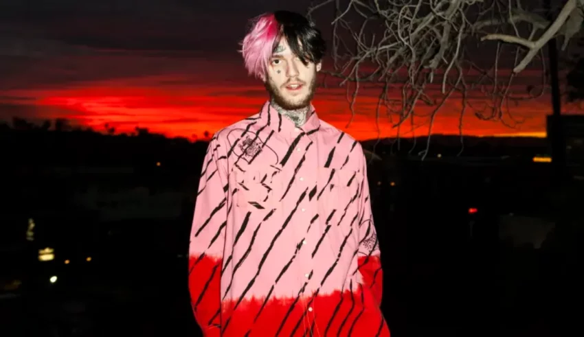 A man with pink hair standing in front of a sunset.