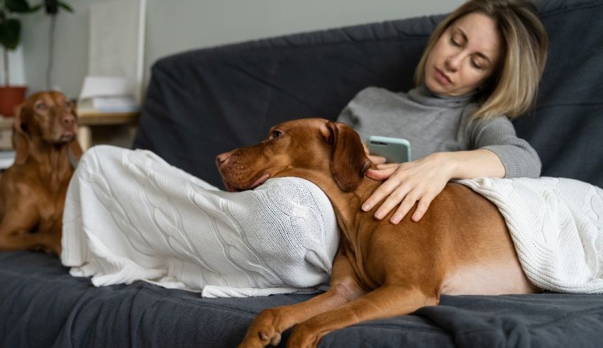 A woman is sitting on a couch with two dogs.