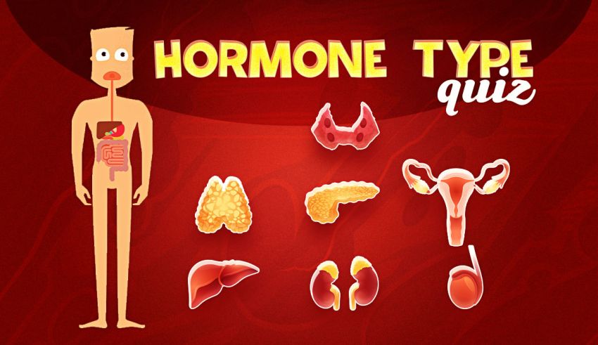 Hormone Type Quiz